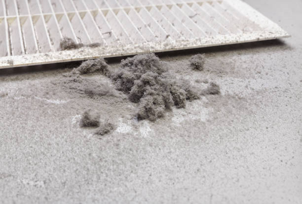 Best HVAC System Cleaning  in Lynchburg, TN
