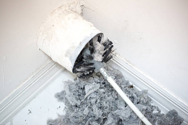 Best Air Duct Sanitizing Services  in Lynchburg, TN
